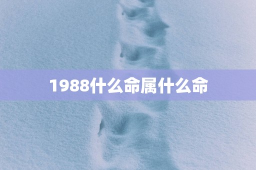 1988什么命属什么命