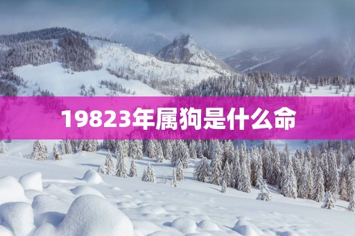 19823年属狗是什么命