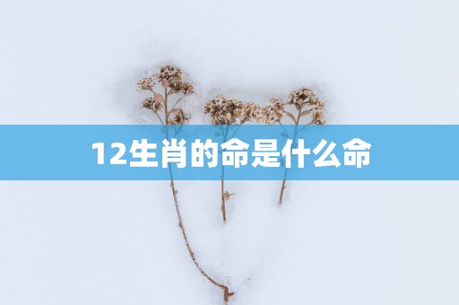 12生肖的命是什么命 12生肖的命是什么命