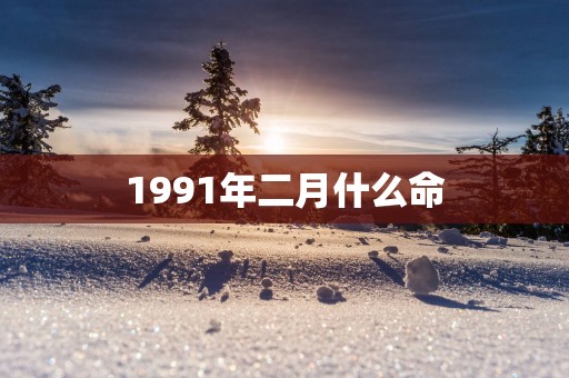 1991年二月什么命