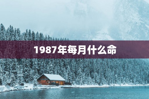 1987年每月什么命