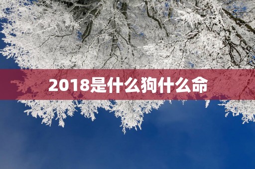 2018是什么狗什么命
