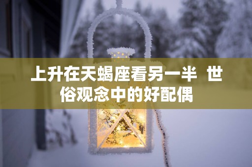 上升在天蝎座看另一半  世俗观念中的好配偶