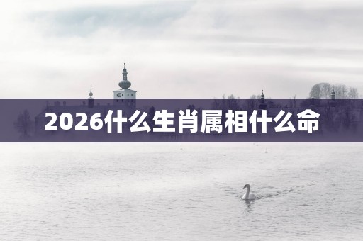 2026什么生肖属相什么命