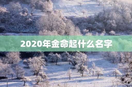 2025年金命起什么名字