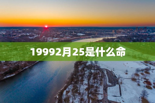 19992月25是什么命 19992月25是什么命
