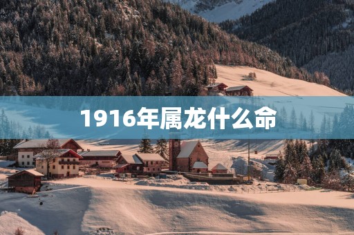 1916年属龙什么命