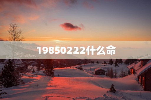 19850222什么命