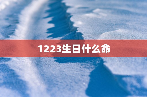 1223生日什么命