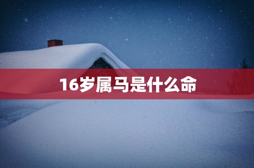 16岁属马是什么命