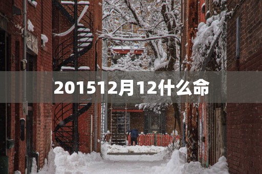 201512月12什么命
