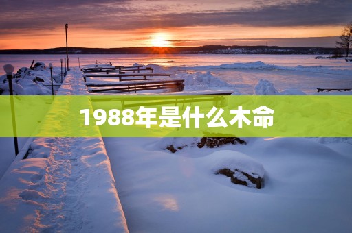 1988年是什么木命