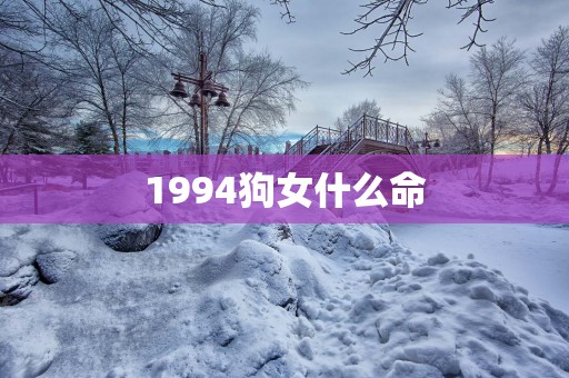 1994狗女什么命