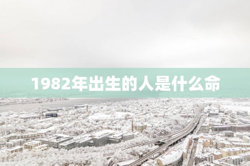 1982年出生的人是什么命