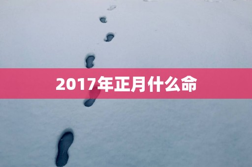2017年正月什么命