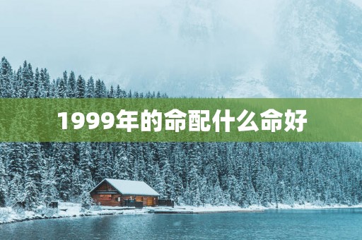 1999年的命配什么命好