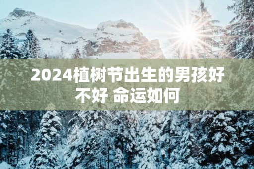 2025植树节出生的男孩好不好 命运如何