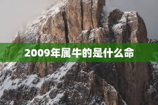 2009年属牛的是什么命