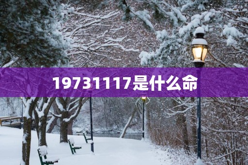 19731117是什么命