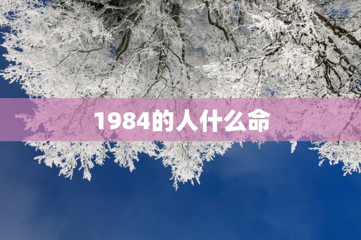 1984的人什么命