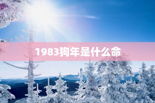 1983狗年是什么命