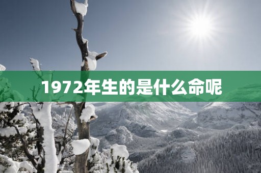 1972年生的是什么命呢
