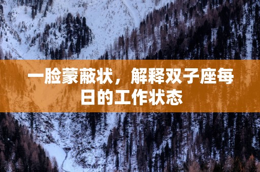 一脸蒙蔽状，解释双子座每日的工作状态
