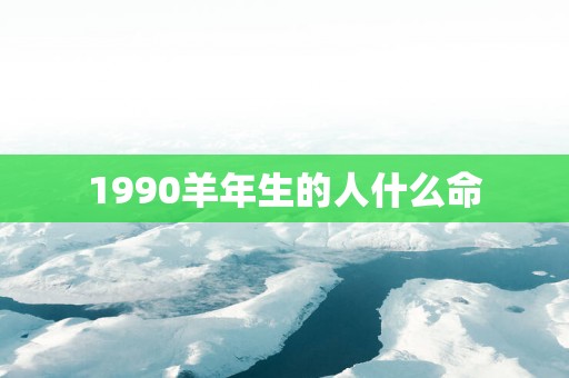 1990羊年生的人什么命
