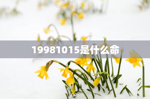 19981015是什么命