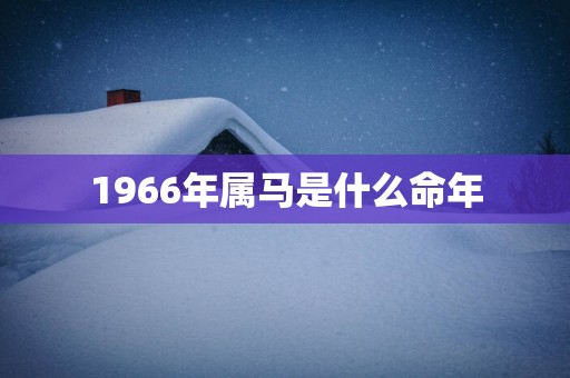 1966年属马是什么命年