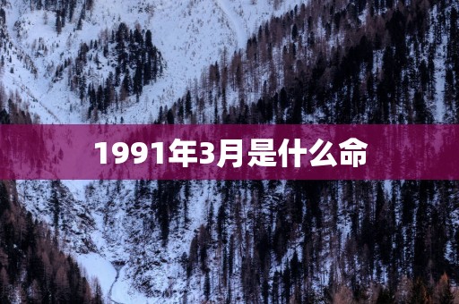 1991年3月是什么命