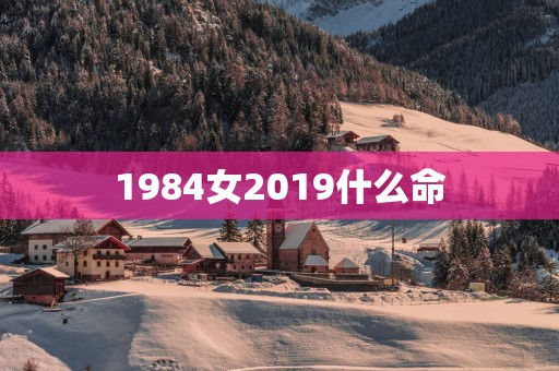 1984女2019什么命