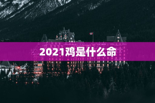 2025鸡是什么命