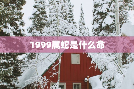 1999属蛇是什么命