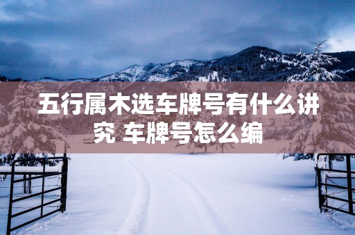 五行属木选车牌号有什么讲究 车牌号怎么编