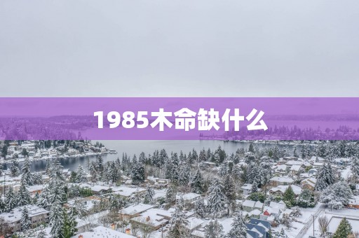 1985木命缺什么