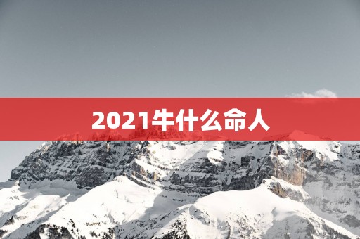 2025牛什么命人