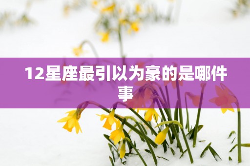 12星座最引以为豪的是哪件事
