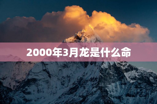 2000年3月龙是什么命