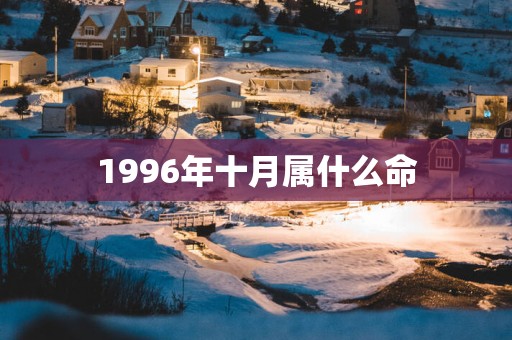 1996年十月属什么命