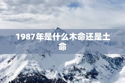 1987年是什么木命还是土命