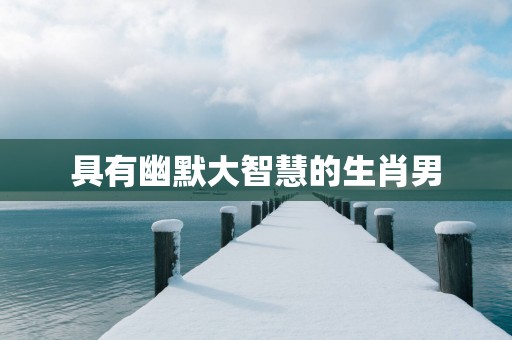 具有幽默大智慧的生肖男