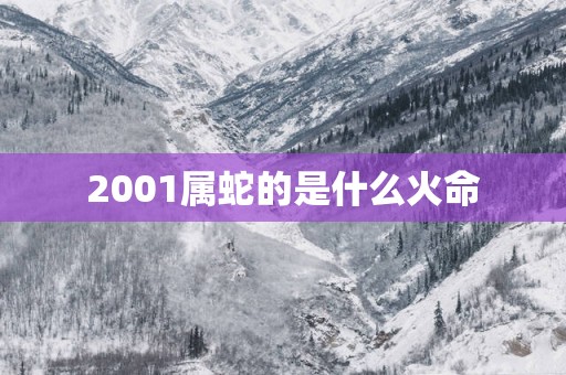 2001属蛇的是什么火命