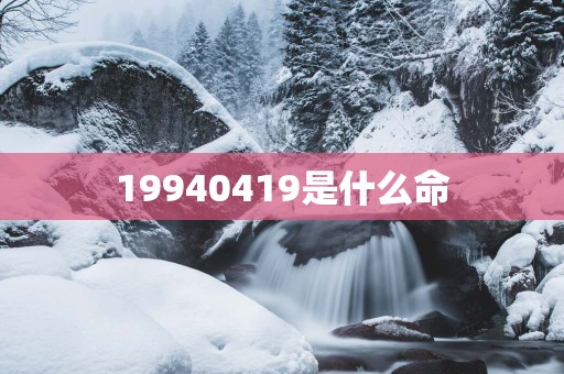 19940419是什么命