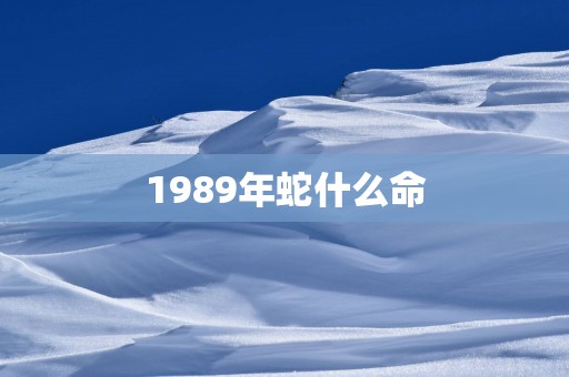 1989年蛇什么命