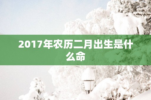 2017年农历二月出生是什么命