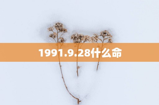 1991.9.28什么命