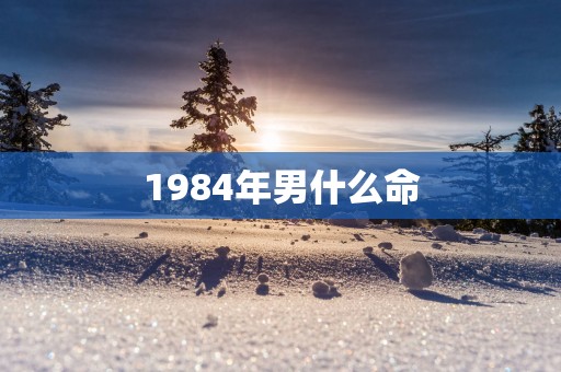 1984年男什么命