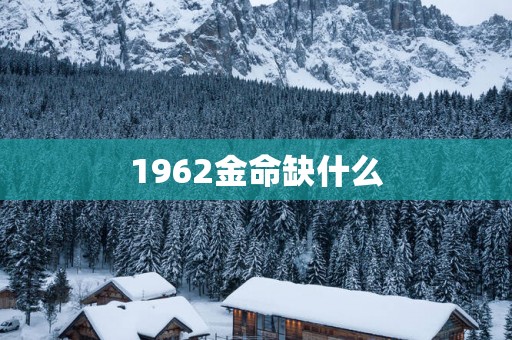 1962金命缺什么
