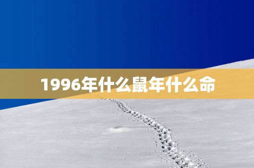 1996年什么蛇年什么命